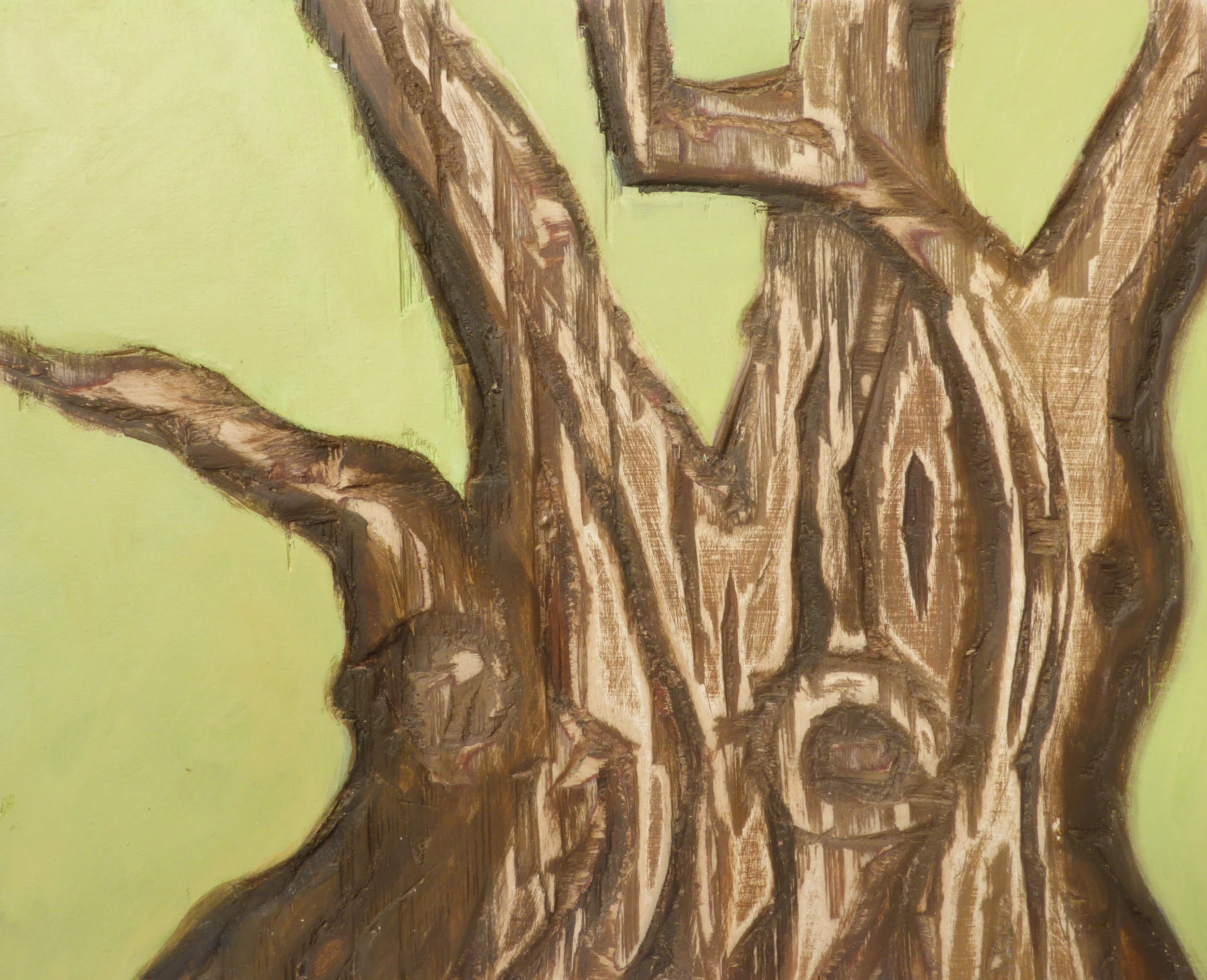 Olive Tree.jpg