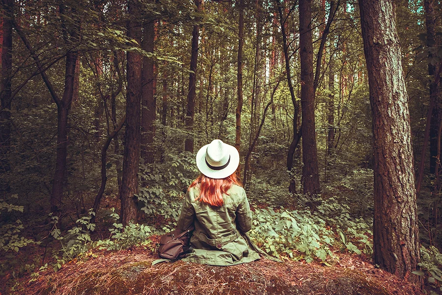 Forest Therapy: How Spending Time In The Woods Can Heal Your Mind, Body &amp; Soul