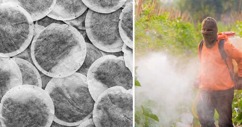 A List of Toxic Teabags Containing Illegal Amounts Of Toxic Pesticides You Maybe Want To Avoid