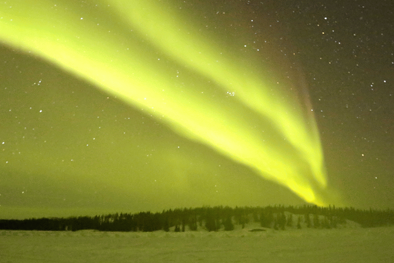 Yellow Aurora