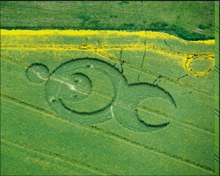 Crop Circle at Calstone Wellington, Calne Without, Wiltshire, UK - 7 May 1994