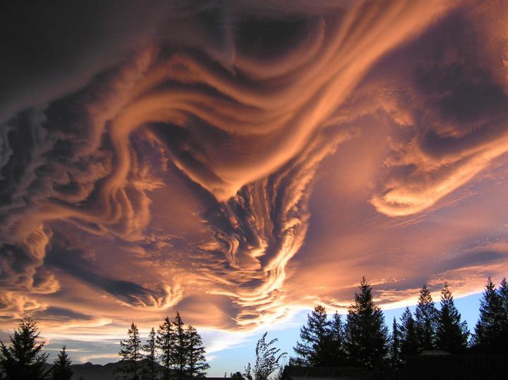  The Doomsday cloud,  Undulatus Asperatus .   NASA/Witta Priester   source: https://www.almanac.com/sites/default/files/styles/primary_image_in_article/public/image_nodes/doomsday-cloud.jpg?itok=vEhmZg1w 