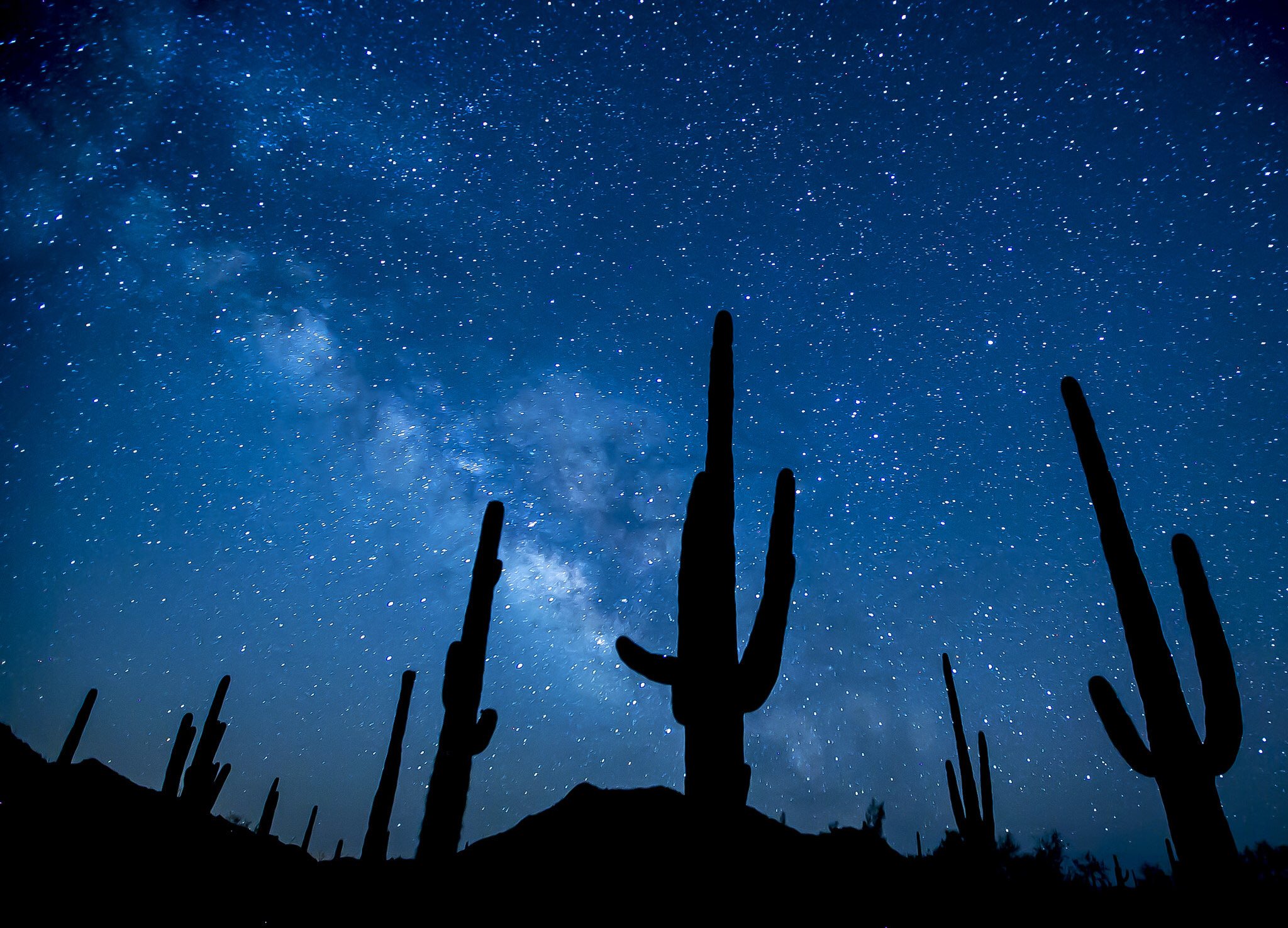 Sonoran Desert National Monument, Arizona