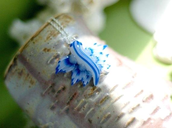Beautiful Blue Slug
