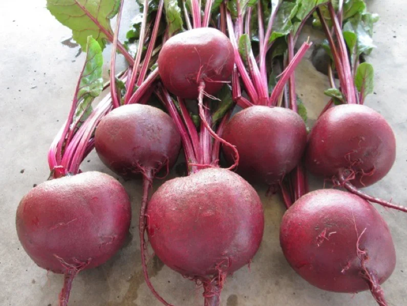 STORY AT-A-GLANCEBeet roots contain valuable nutrients that may help lower your blood pressure, fight cancer and inflammation, boost your stamina, and support detoxificationBeet greens are equally, if not more, nutritious with nutrients that may str…