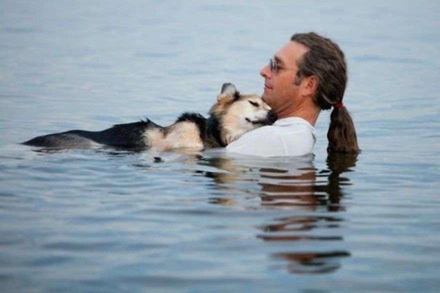 为了减轻狗狗脚伤的疼痛感，这名男子每天都会带他爱犬下水治疗。