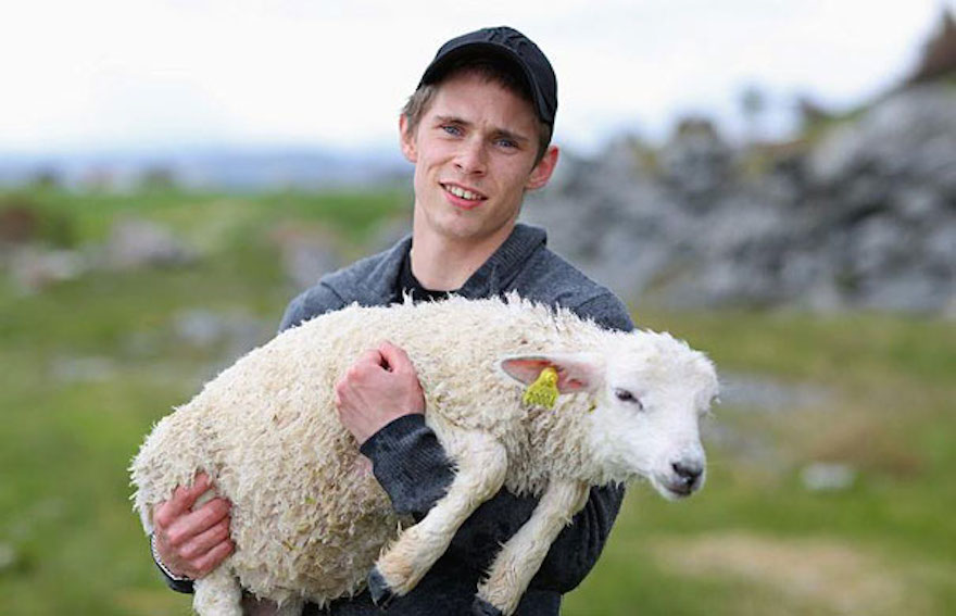 来自挪威的两个小伙子救下差点被洪水冲向大海的小绵羊