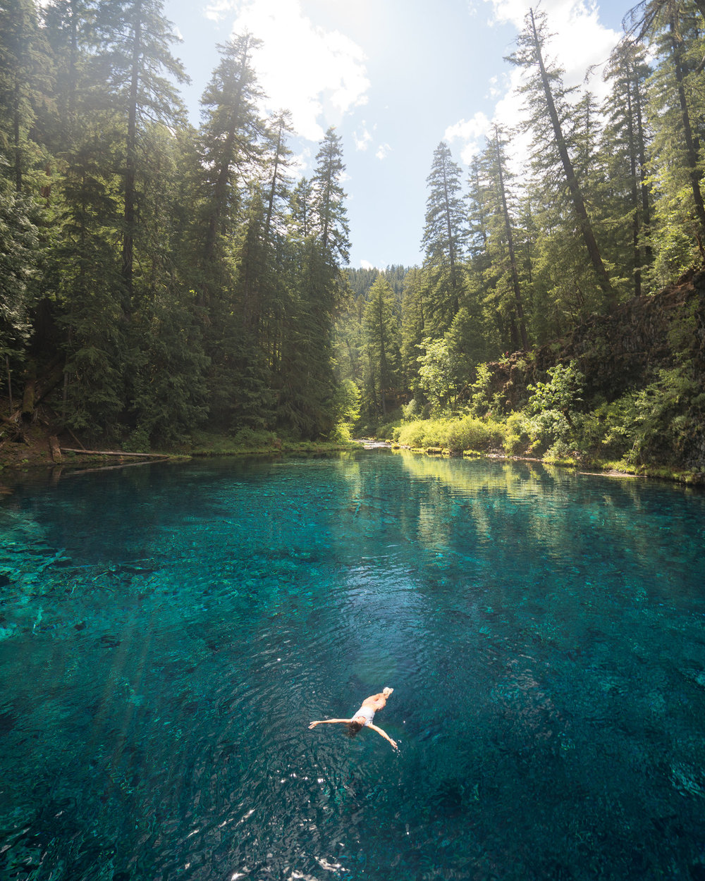 TERWILLIGER (COUGAR) HOT SPRINGS