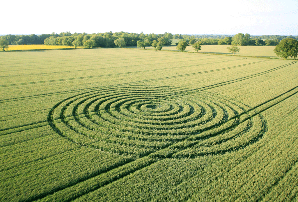 Crop Circle 2015