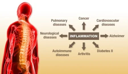 26 Inflammation.jpg