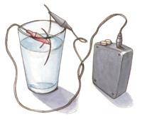 31 ColloidalSilver.gif