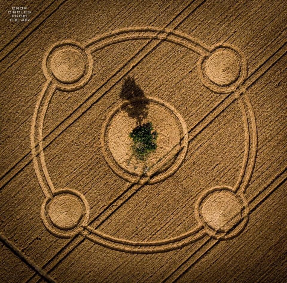 August 2020 Crop Circle - Potterne field near Devizes, Wiltshire, England.jpg