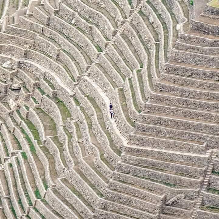 Inka Terracing at Choquequirao, Peru.jpg