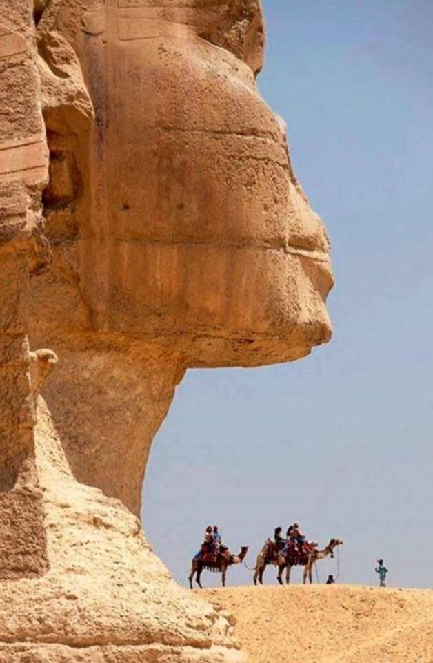 The Majestic Sphinx.jpg