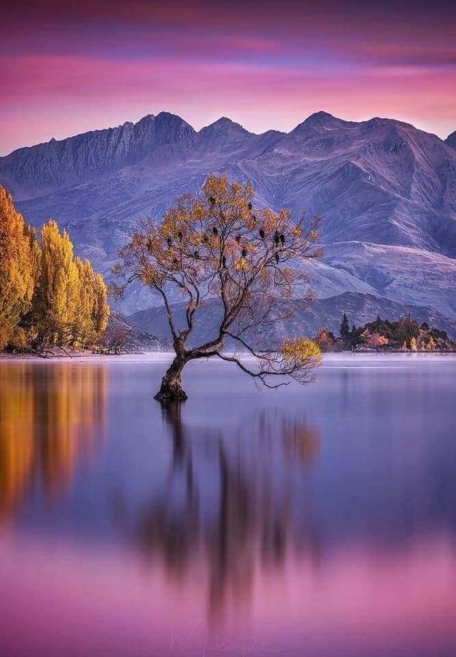 Wanaka New Zealand.jpg