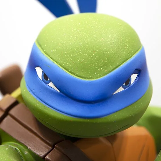 turtle.jpg