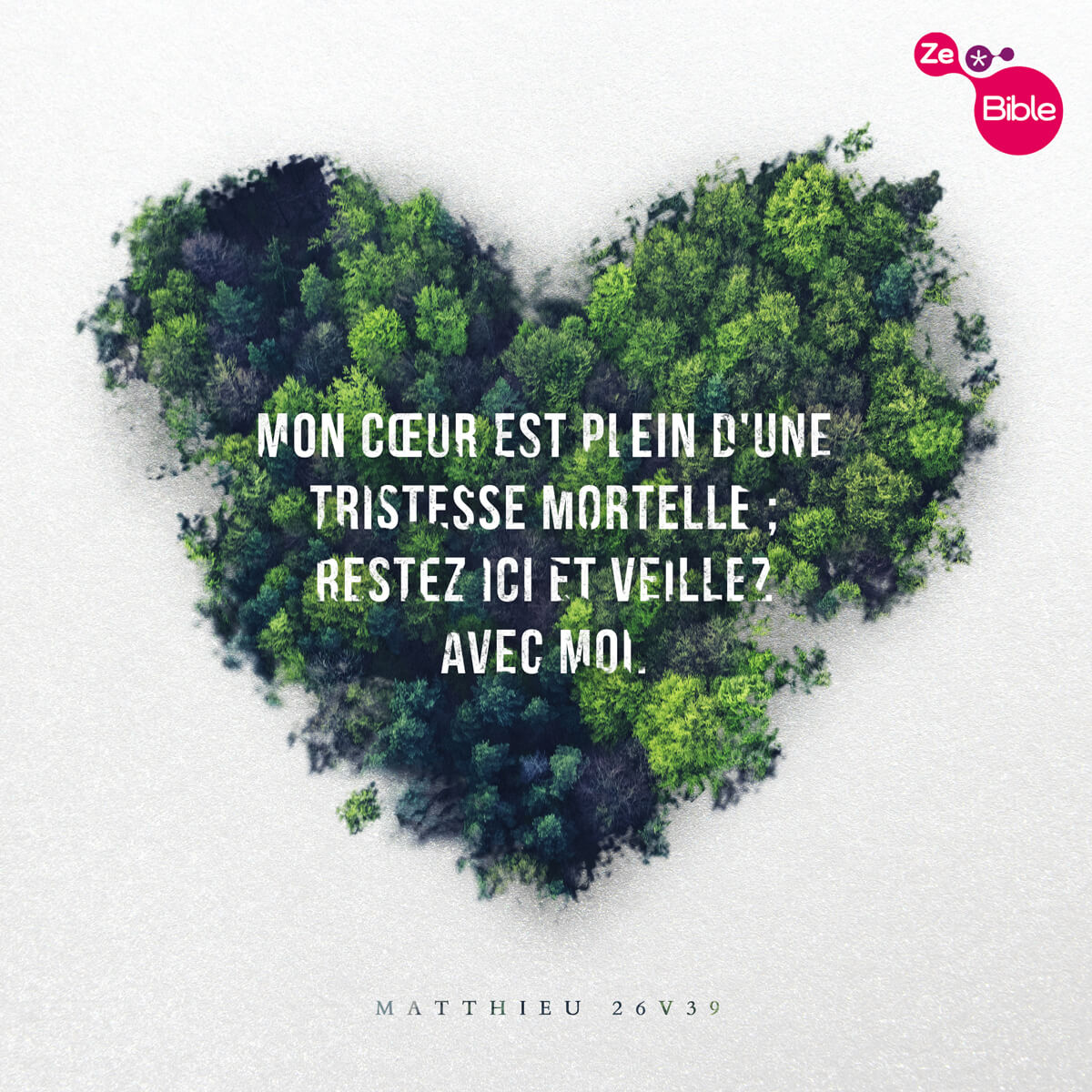 Jésus prie dans le jardin de Gethsémané — ZeBible