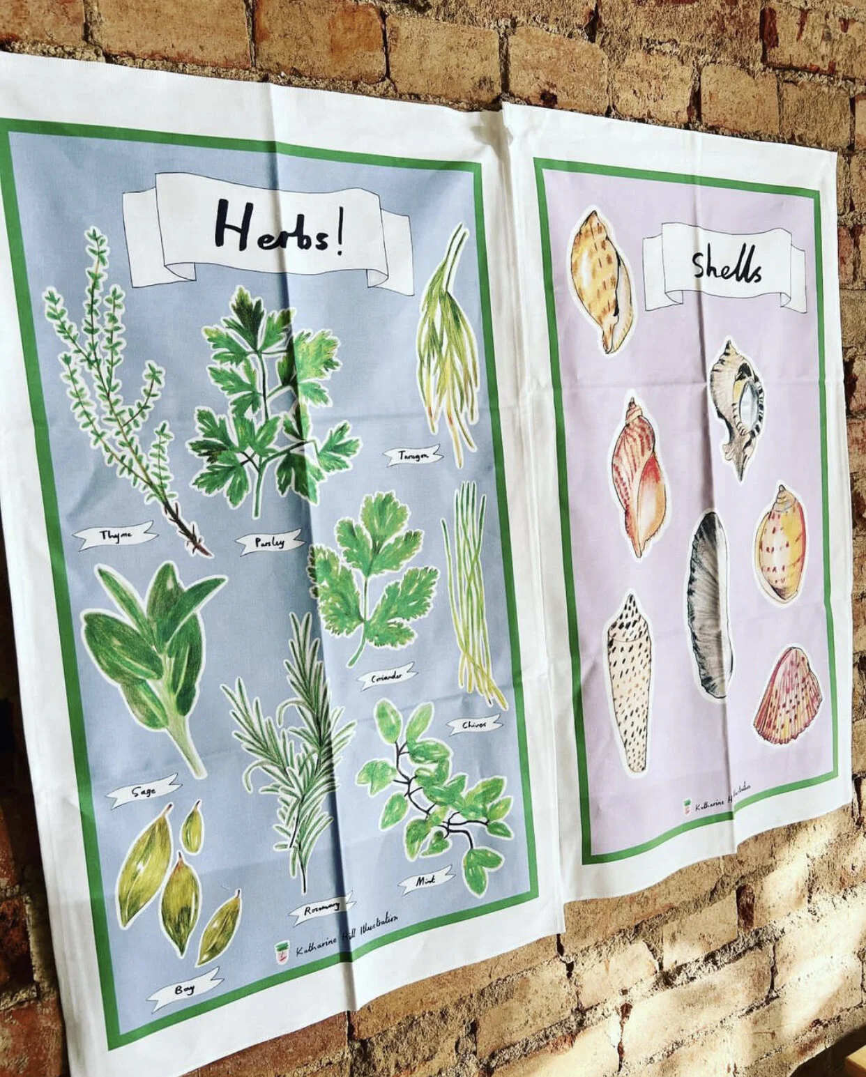 482C28CC-79DB-4D06-87AC-033A8C900813