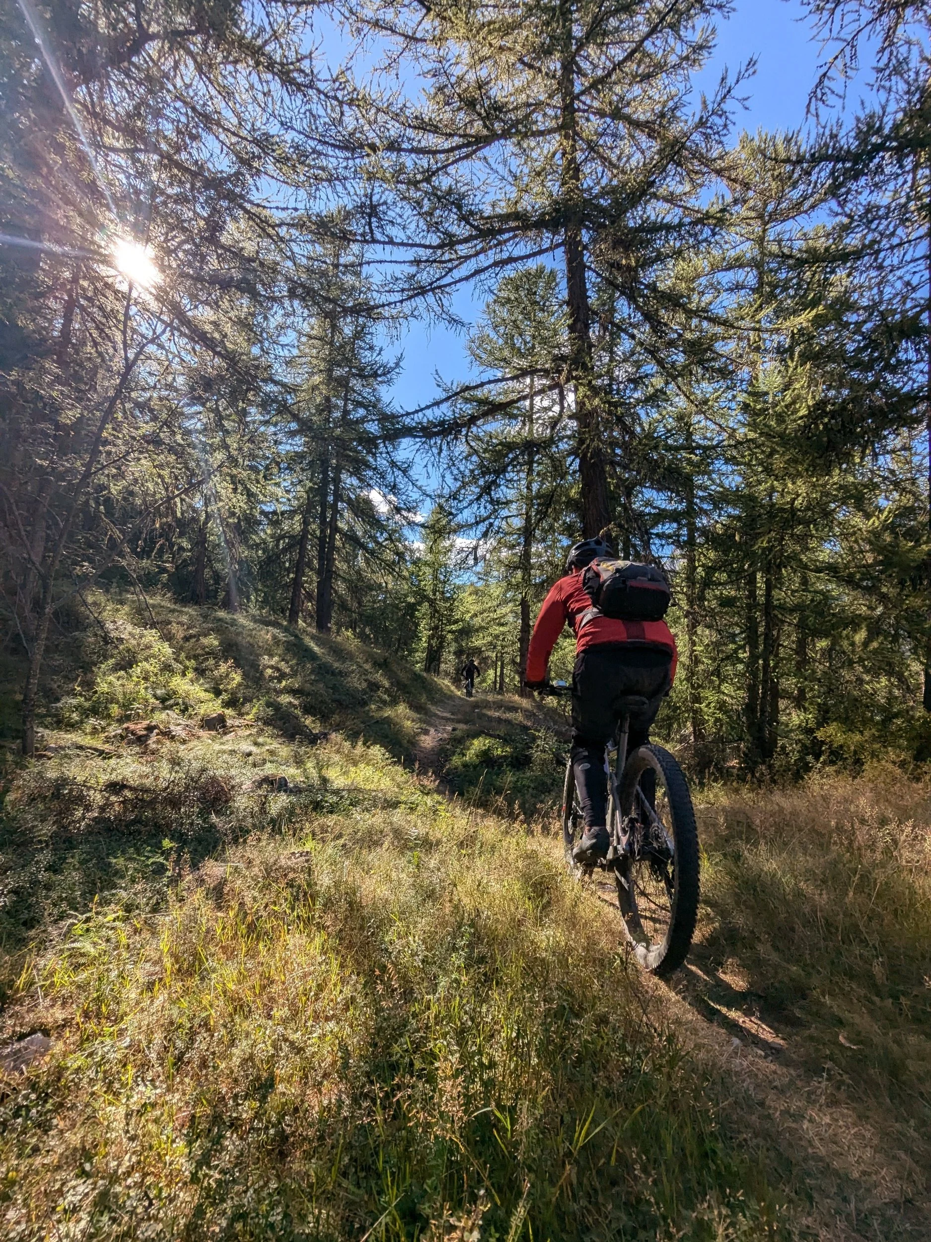 Corridors of flow through the larch in the Queyras