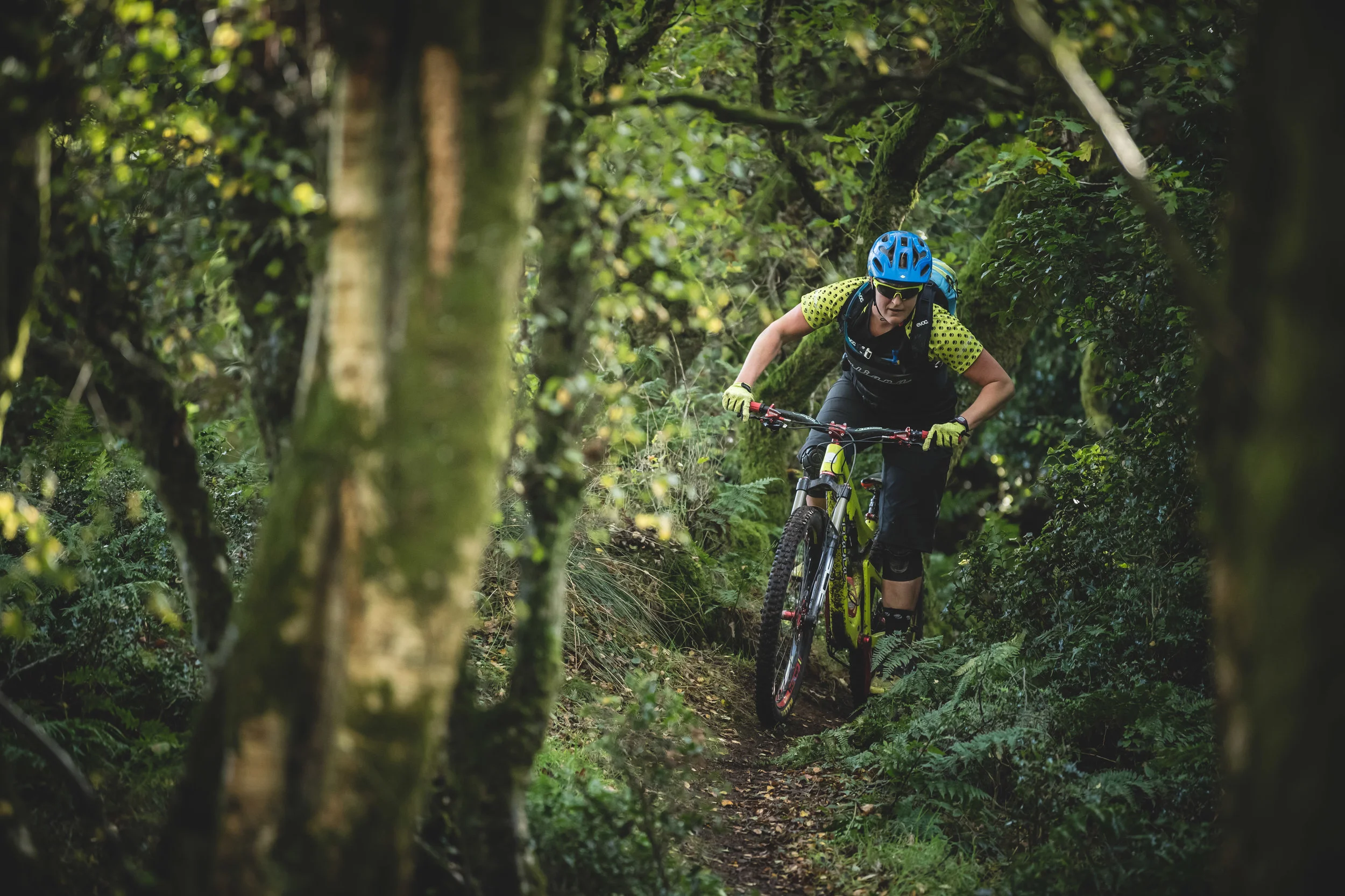 Woodland trail riding