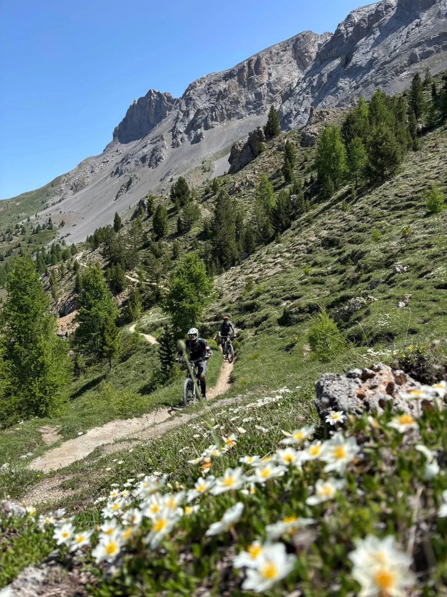 Continuing on the theme of dreamy singletrack and epic views here in the Queyras! ⚡🚵
Each day brings another dose of flowy trails, alpine ridgelines, and big mountain backdrops - all made that bit more fun with the boost of an e-bike.
Hard to beat