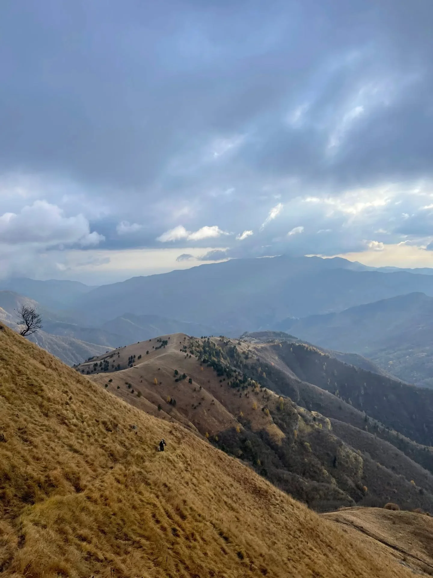 🚨 Just 5 places left! 🚨
Our Trans Ligurian Odyssey trip is rolling out from 4–11 October - and these are the last spaces on any of our 2025 trips. If you're dreaming of golden autumn trails, minimal climbing (hello Land Rovers and van shuttl