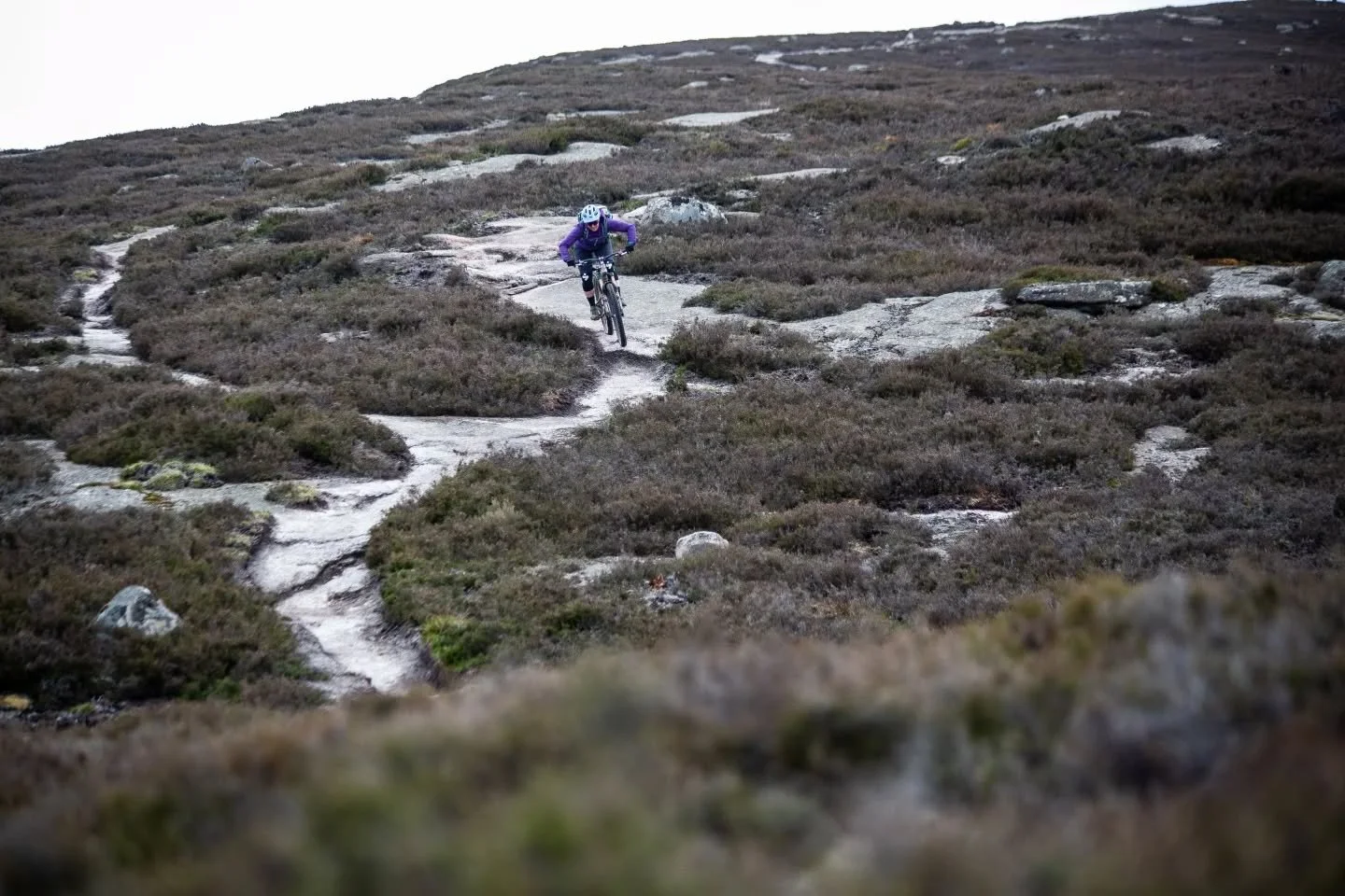 ๐จTorridon trip sold out? Don't worry - the Cairngorm Classic Enduro trip is now open for bookings! ๐ต‍โ๏ธ๐ด
This six-day Highland adventure is our most ride-packed trip, exploring the Eastern Highlands and the majestic Cairngorms National Park -