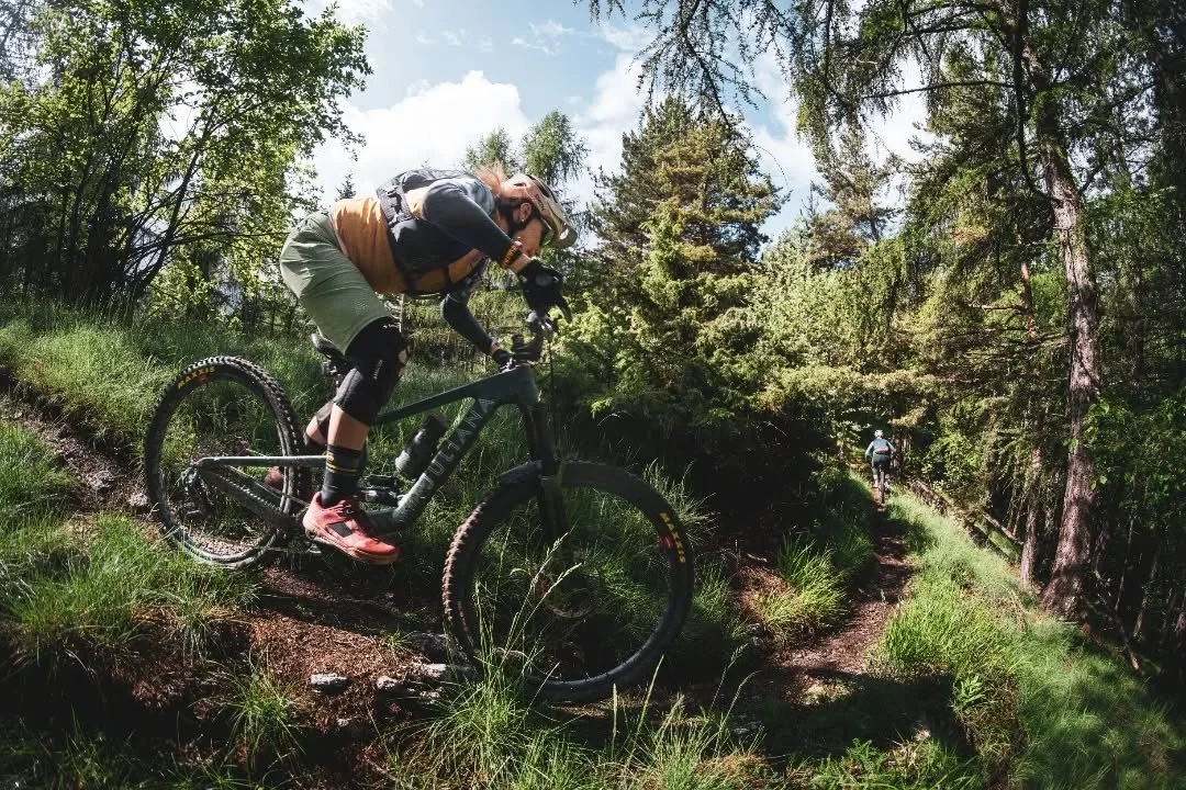 Fancy a bike trip in Italy, but not sure the Lake to Lake is your style?

Why not join our Trans Ligurian Odyssey? This unforgettable journey takes you from Finale Ligure to Molini di Triora, deep through the Italian backcountry. You&rsquo;ll stay in