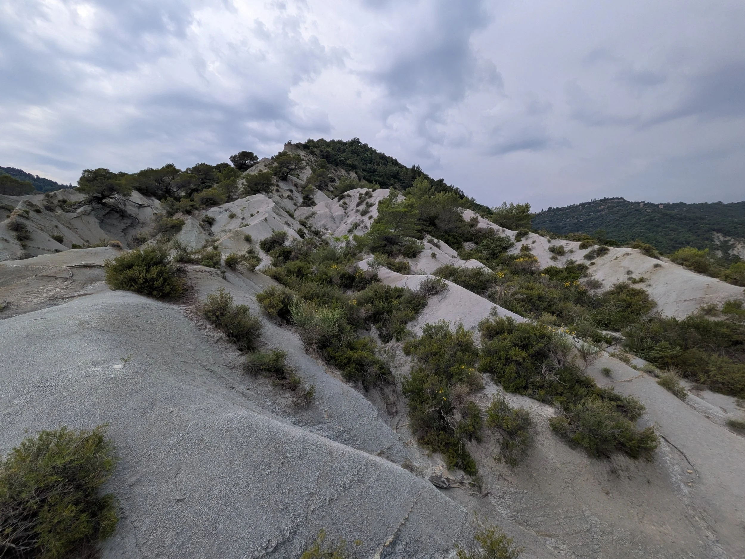 Grey Earth MTB trails
