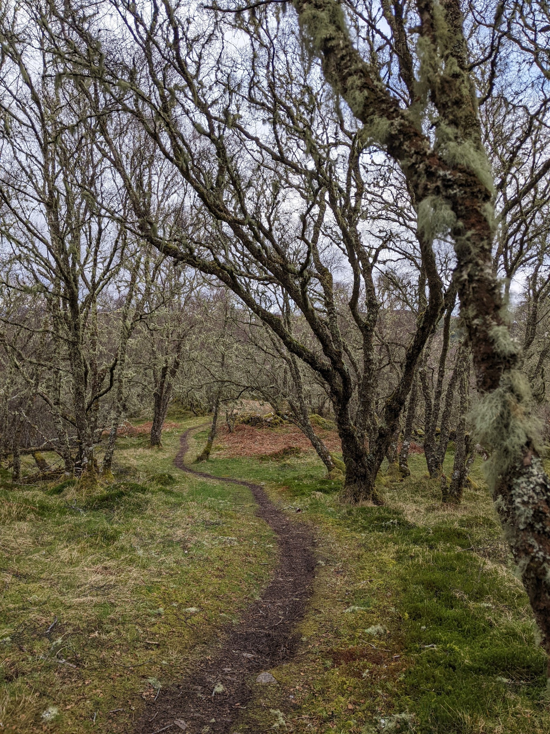 Lochalsh Peninsula singletrack