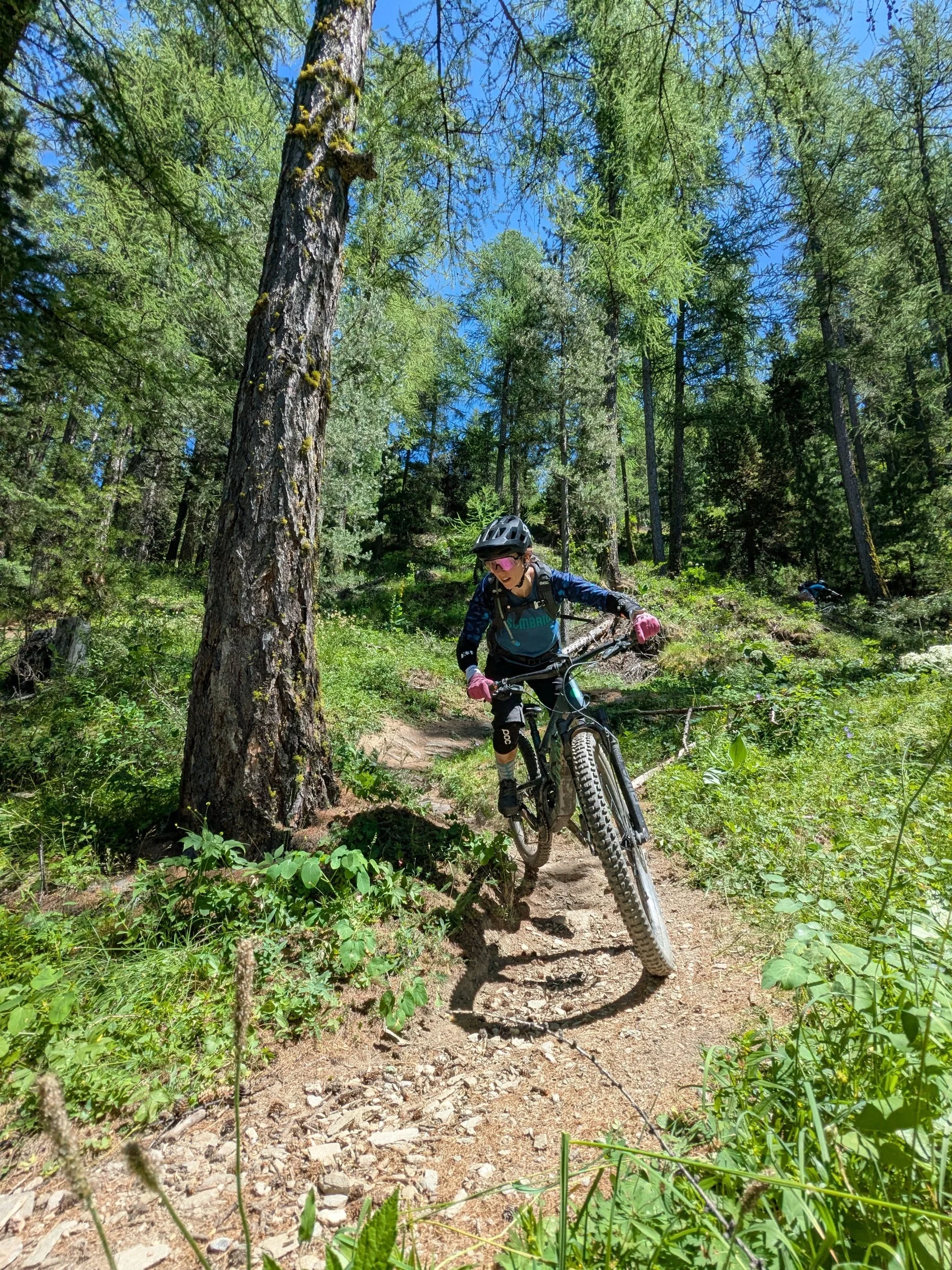 Queyras Trail Delights