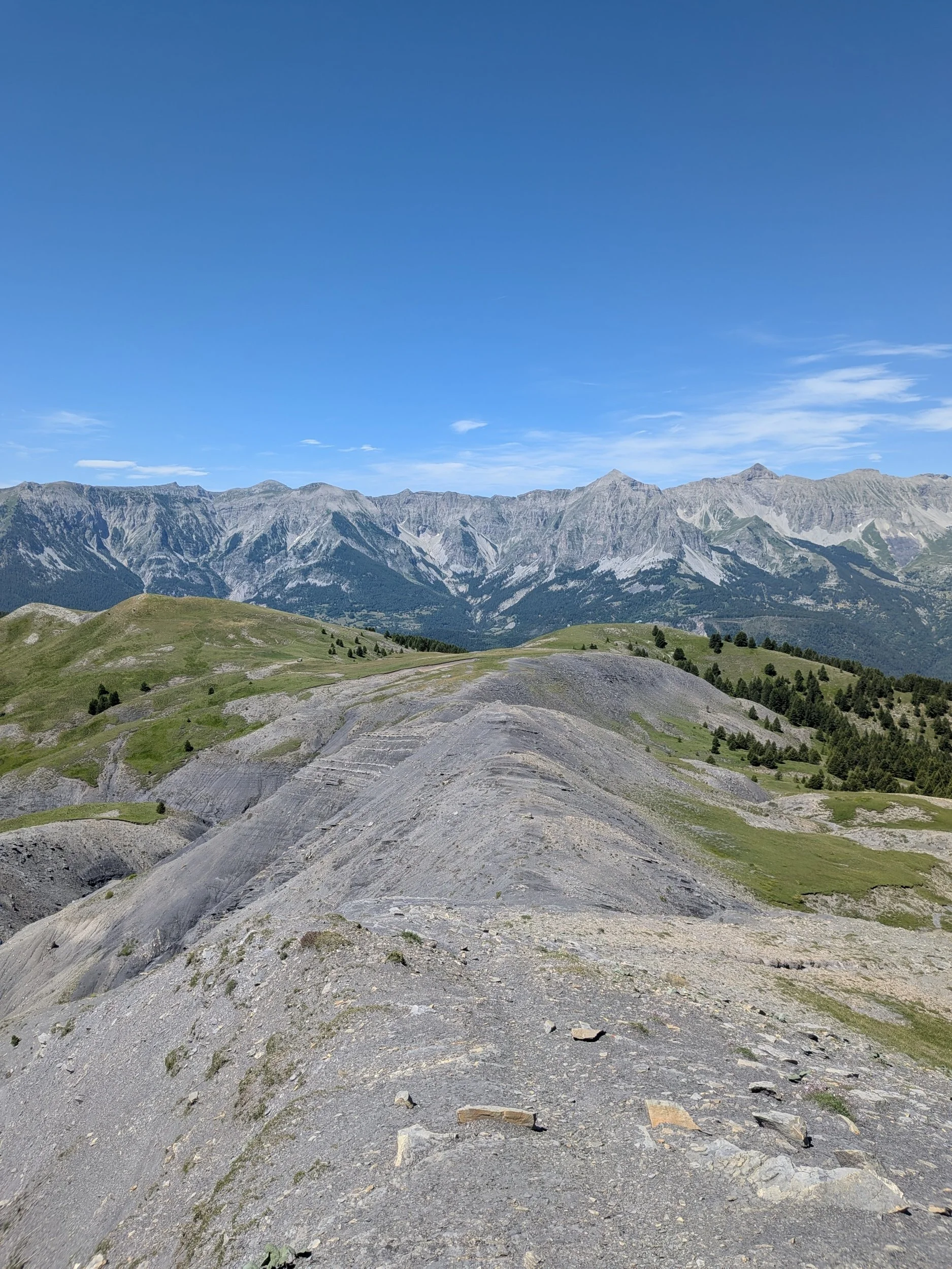 processed_PXL_20260708_095231885.jpg