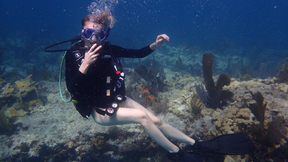 Sea Scuba Diving in Jordan — The Executive Thrillseeker