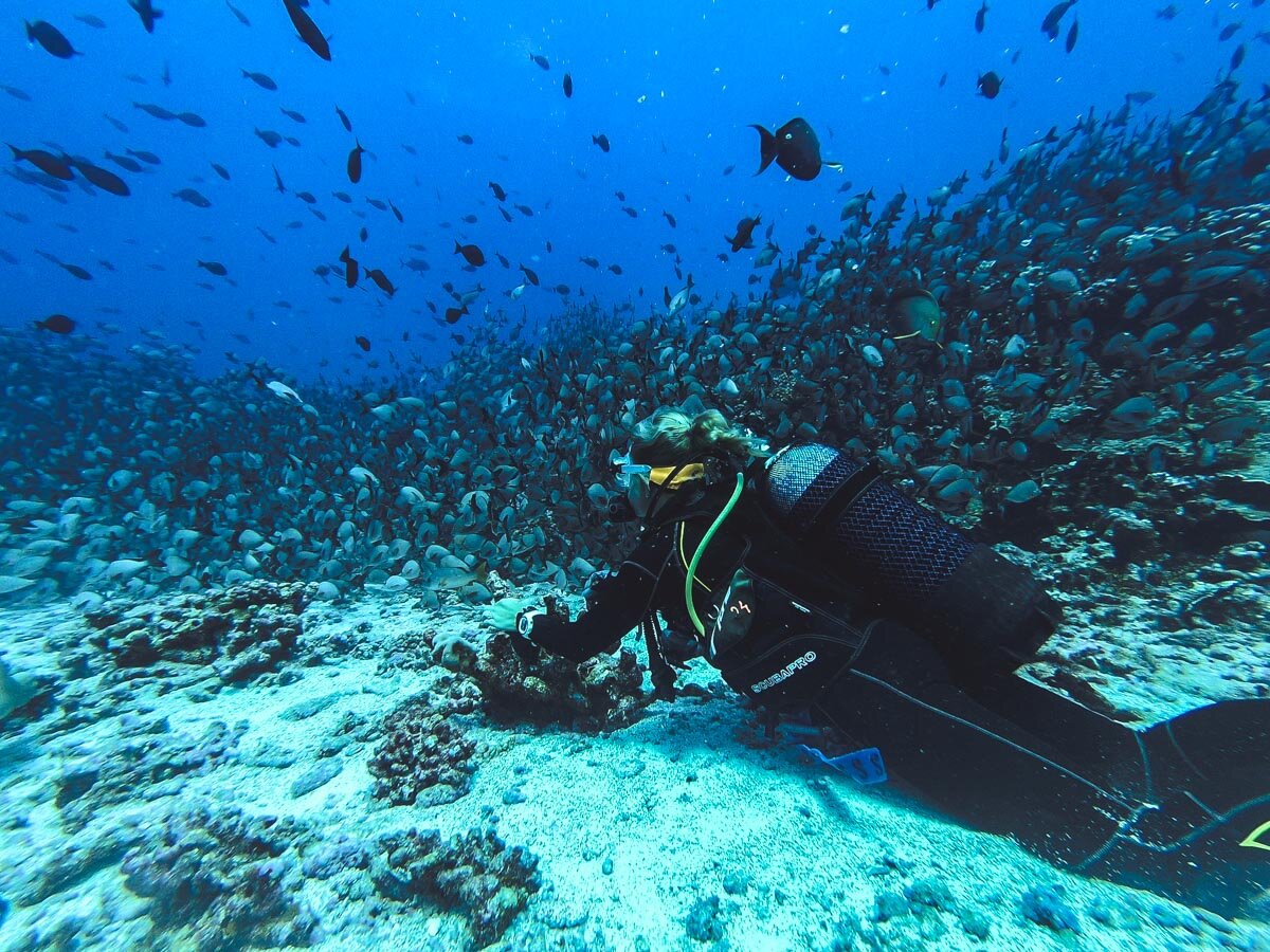 Scuba diving in Florida, USA — The Executive Thrillseeker