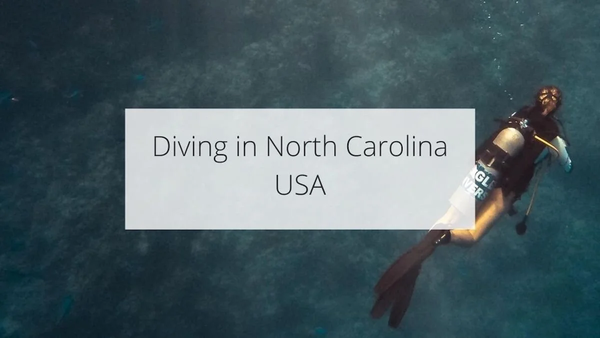 Best scuba diving in North Carolina — The Executive Thrillseeker