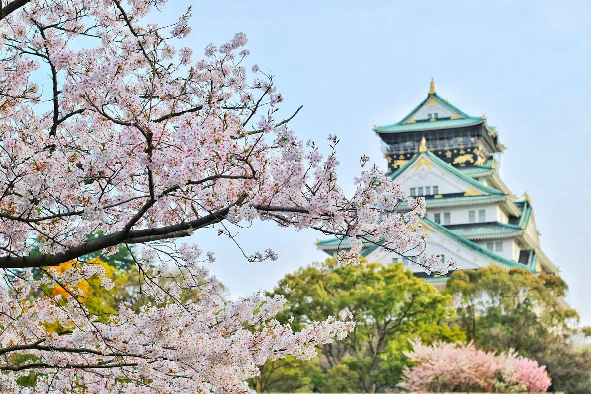 5 Tips For Enjoying Your First Trip To Japan