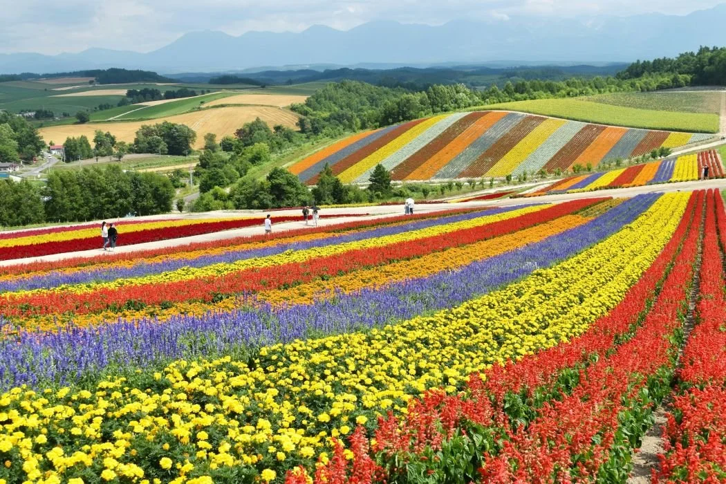 Visiting Hokkaido: Japan’s Wild North