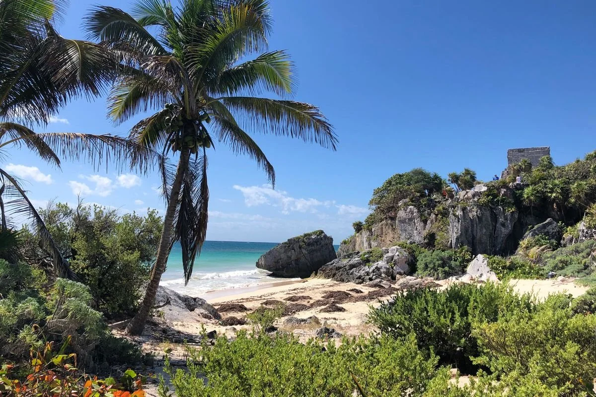 Digital Detox in Tulum: A Guide for Busy Executives