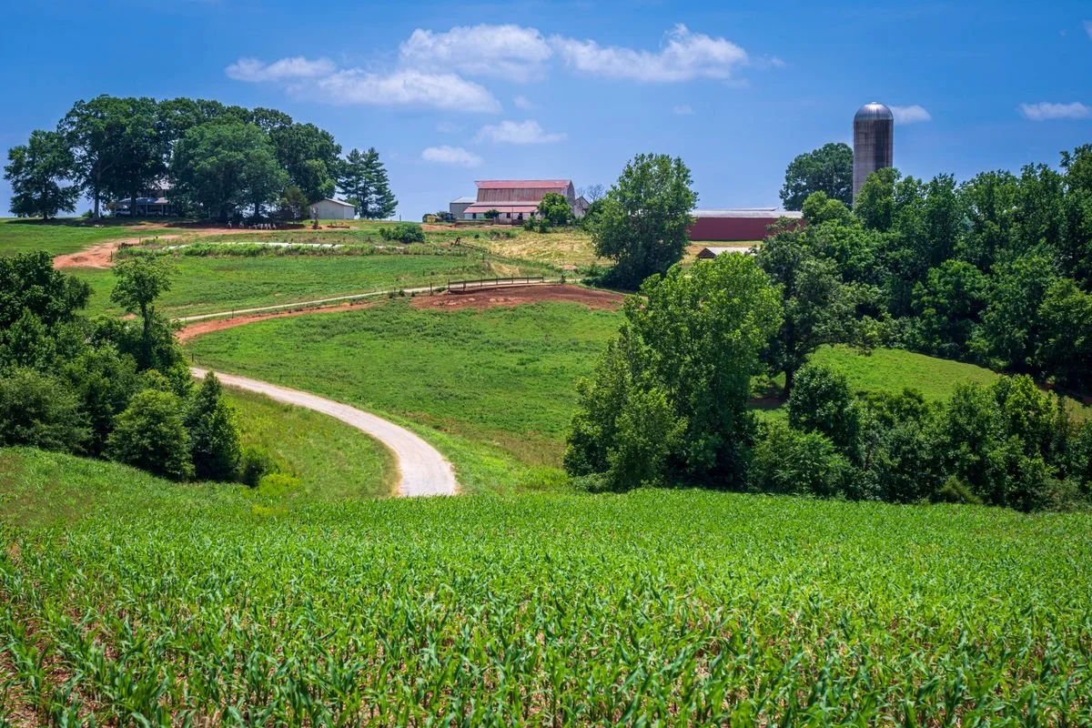 Western Kentucky Getaway: A Digital Detox RV Escape