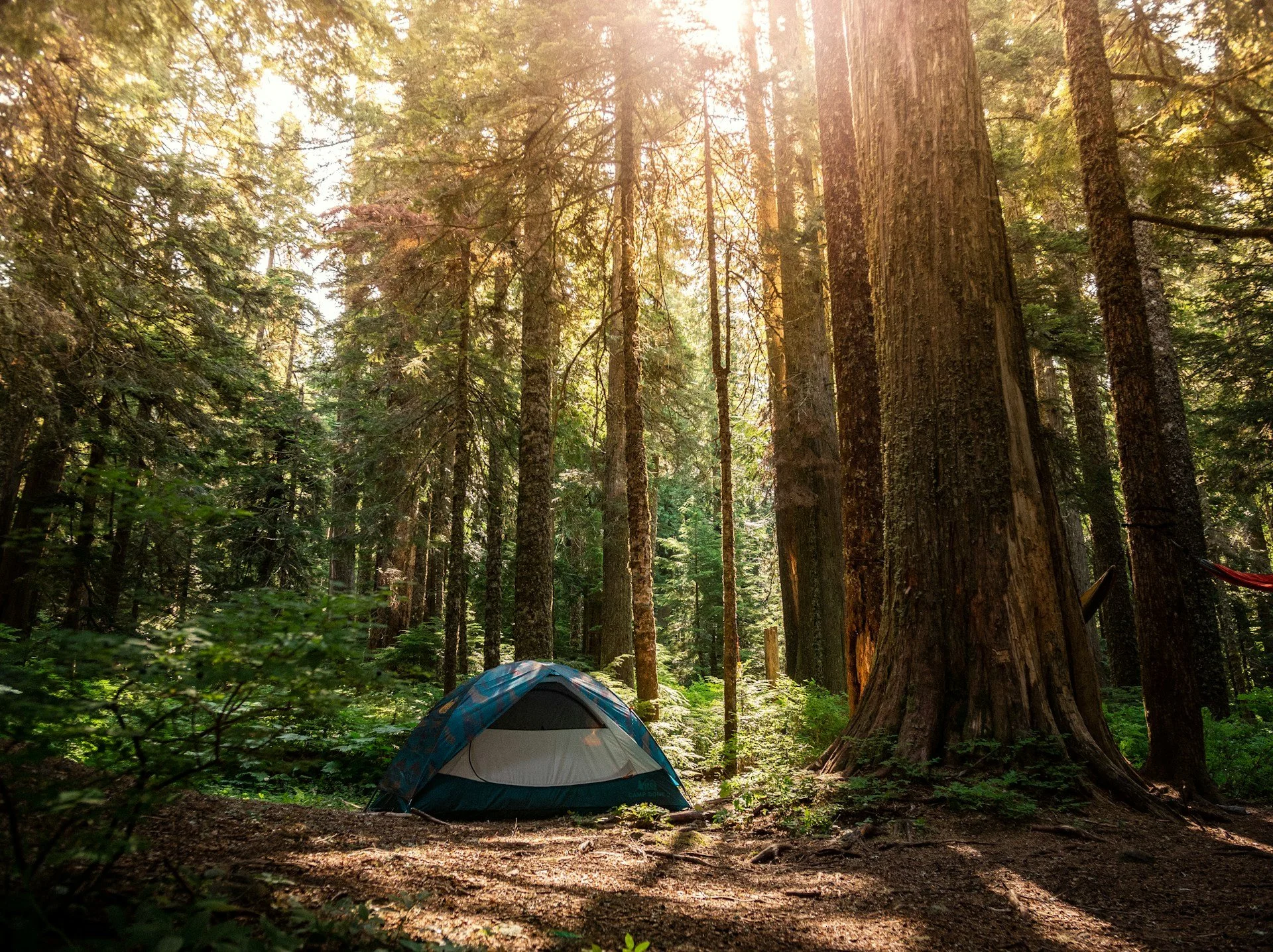 Laurel Mississippi Nature Getaway: A Relaxing RV Escape