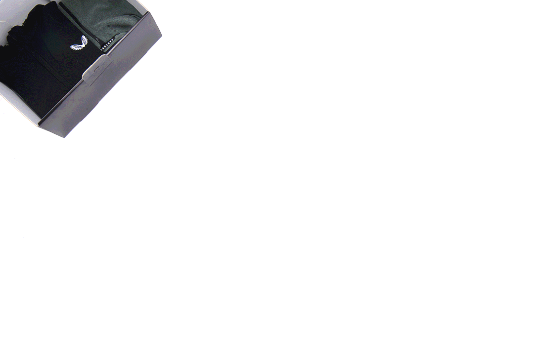 Castore-animations.gif