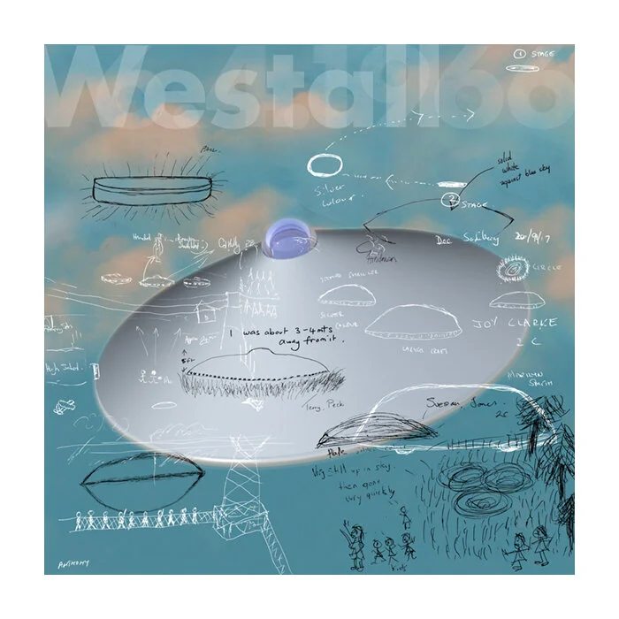 Westall - What They Saw