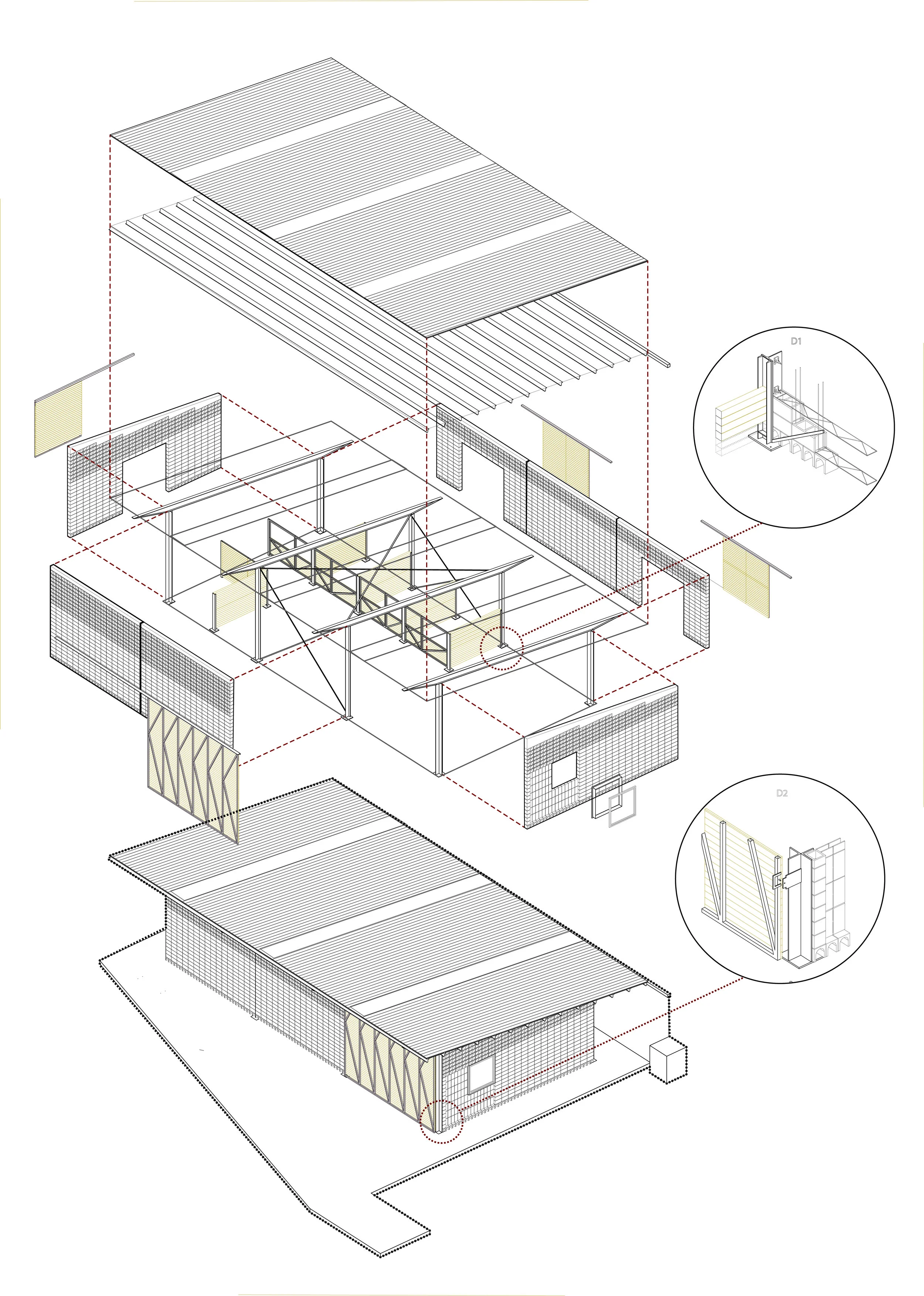 AXO COLORES INSTA web.jpg