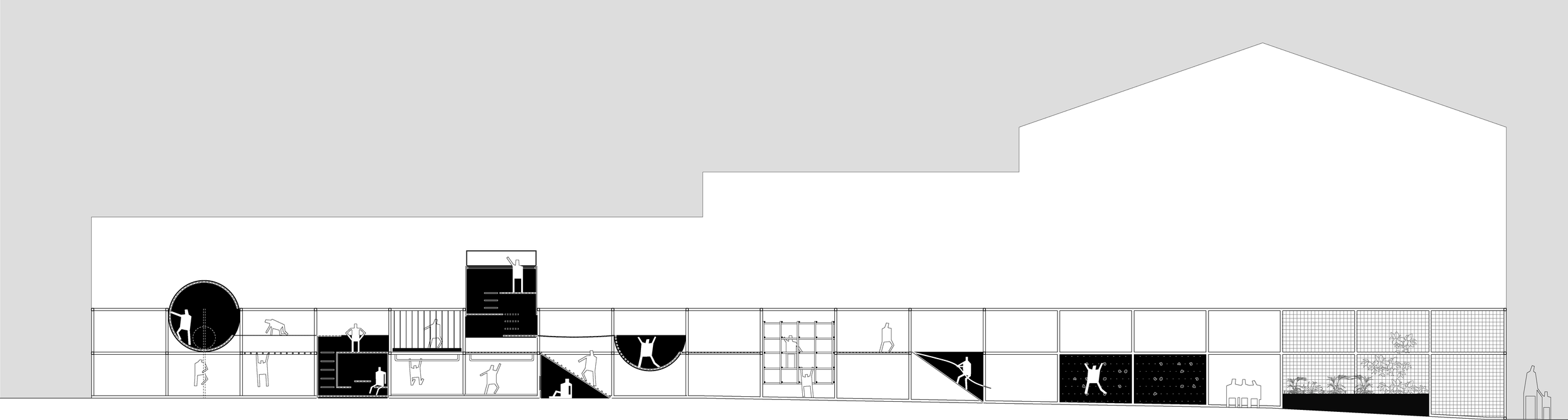 sección-PNG-01.png