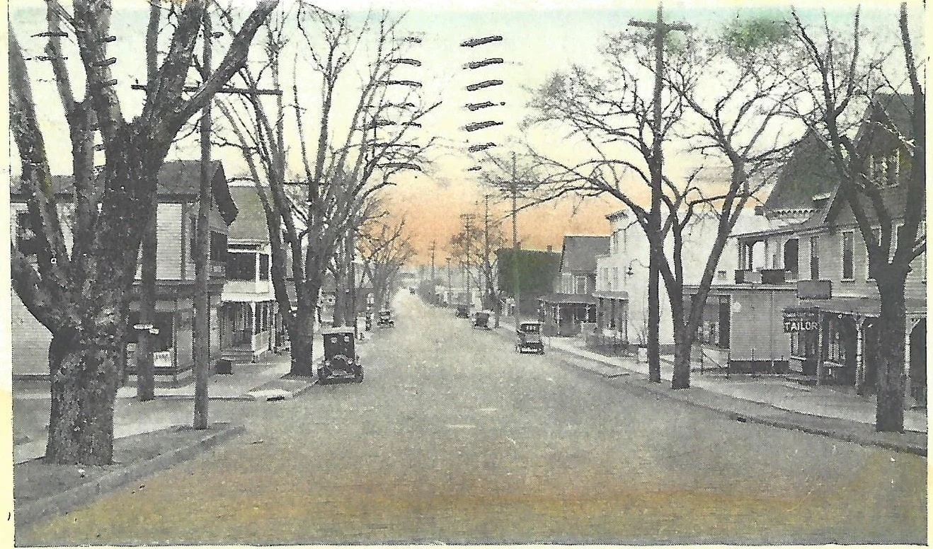 The village of Leonia from Grand Avenue 1895 (Althea Eames Oliver Postcard Collection)