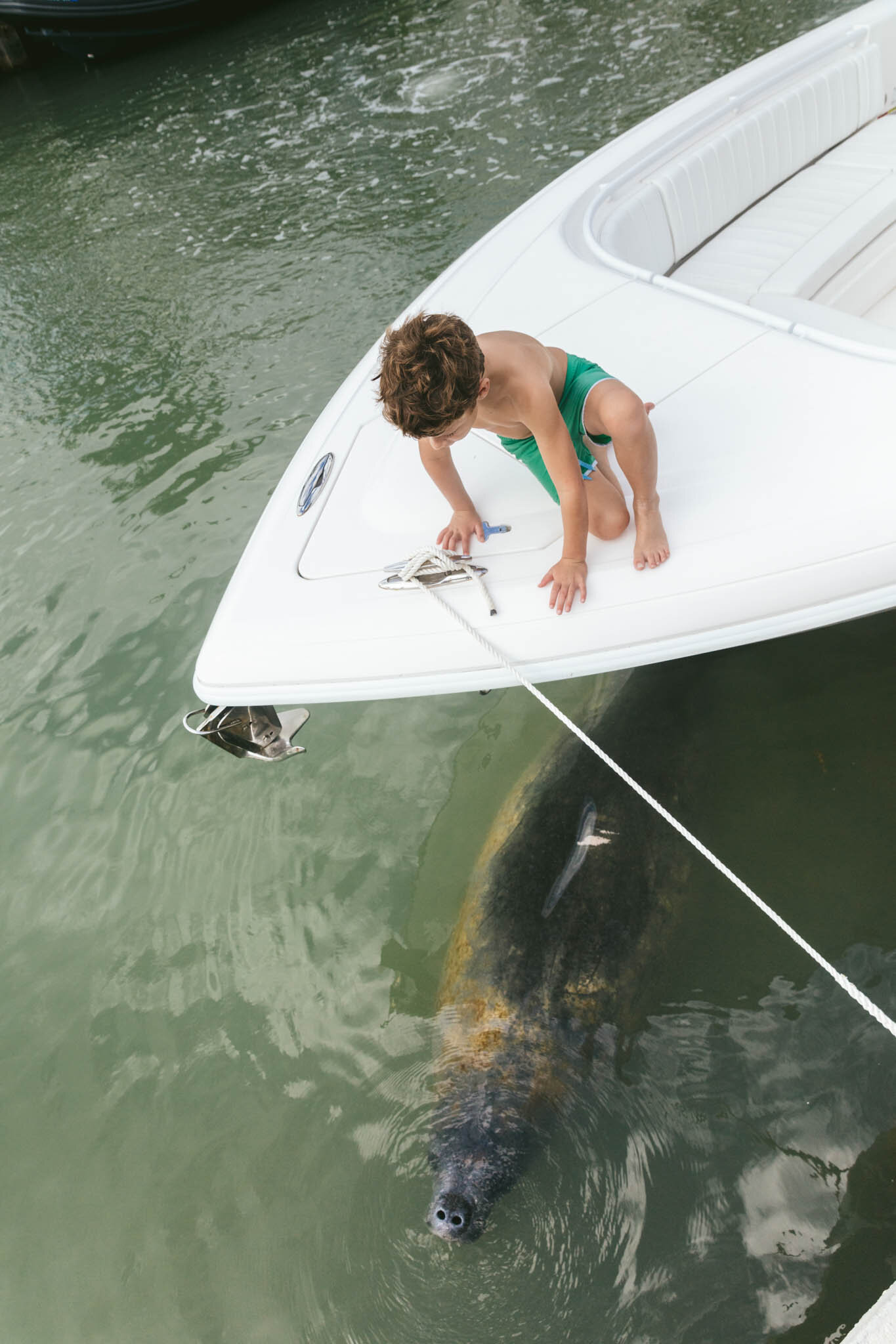  A Young Boy Spots A Manatee In The Water Next To A Docked Boat At The Islands Of Islamorada’s Private Marina. 