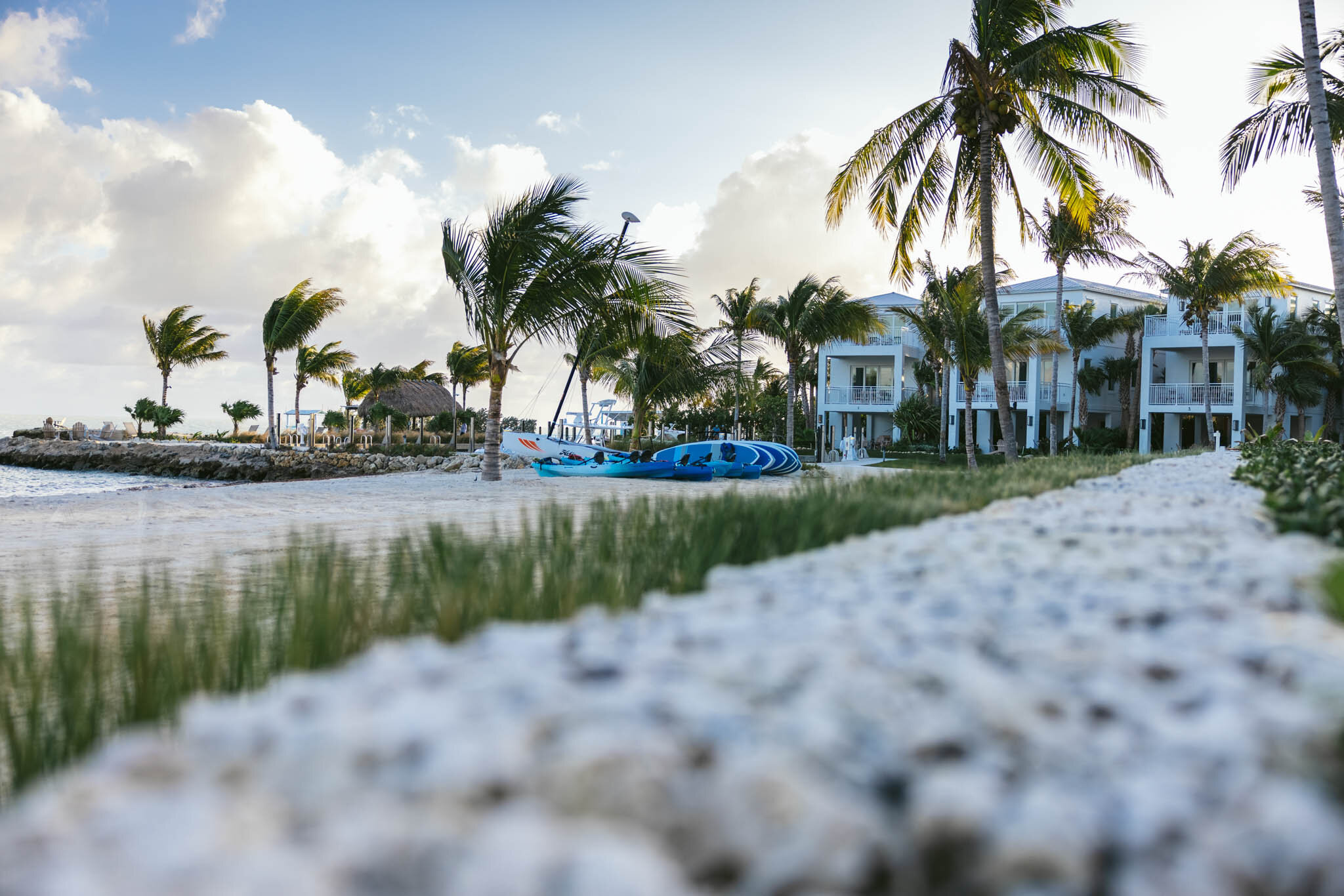  Palm trees line The Islands of Islamorada’s private beach, with a row of waterfront villas in the background. 