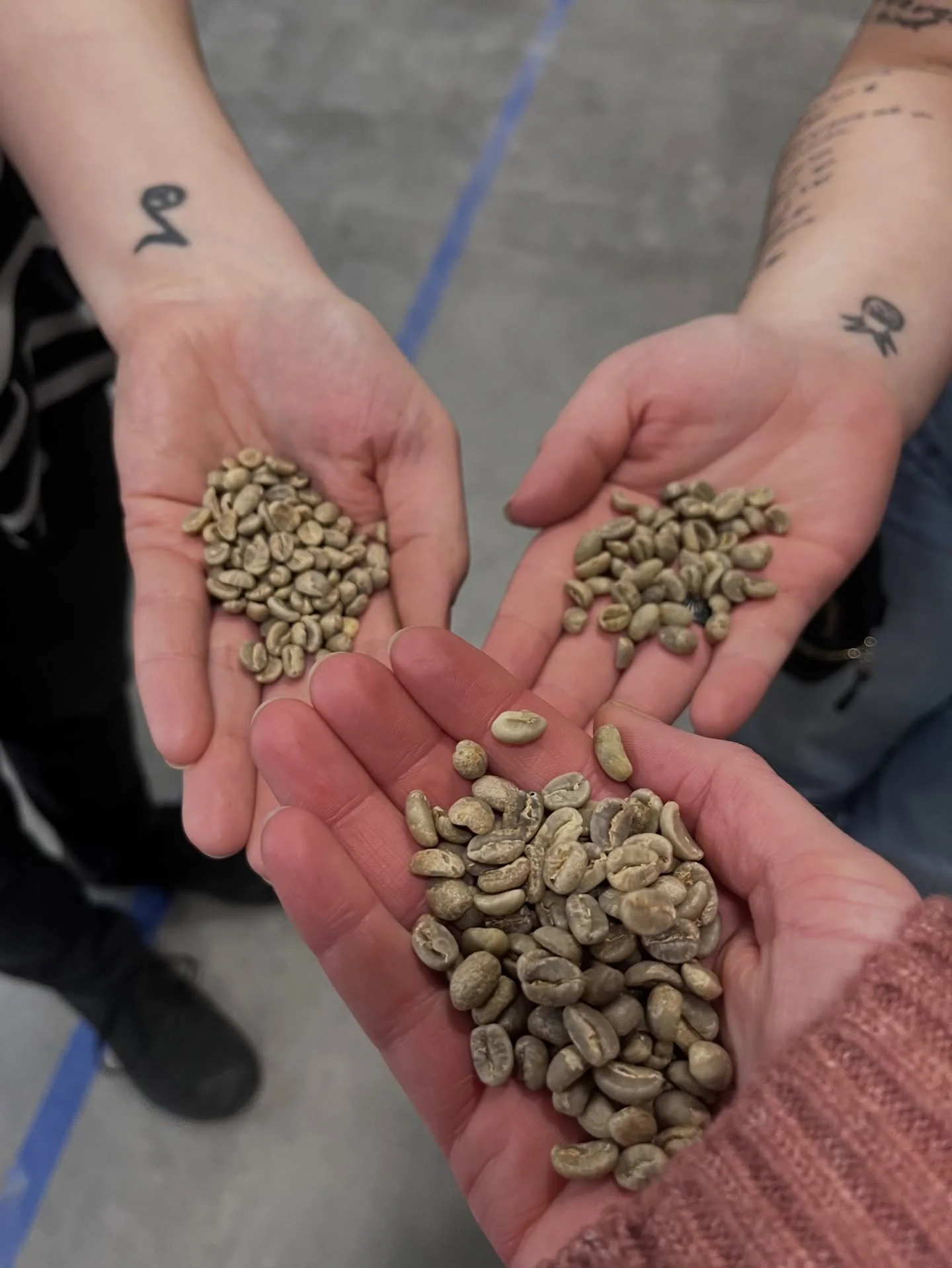 While we might not take ourselves very seriously, we do take our coffee seriously. That&rsquo;s why we sent some of our senior front of house staff to Vermont Artisan&rsquo;s School of Coffee for some espresso-focused continued education. 📚☕️

This 