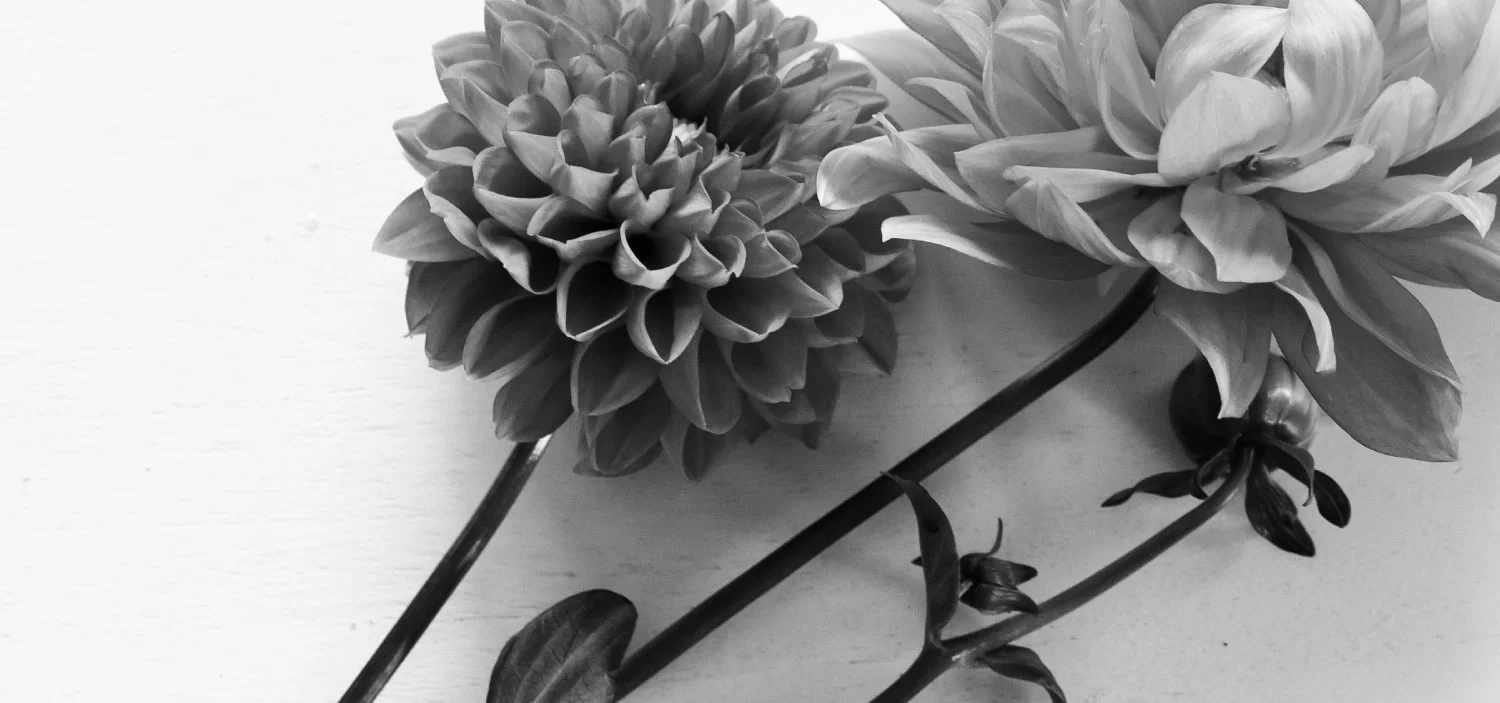 Kathleen-Krueger-About-Background.jpg