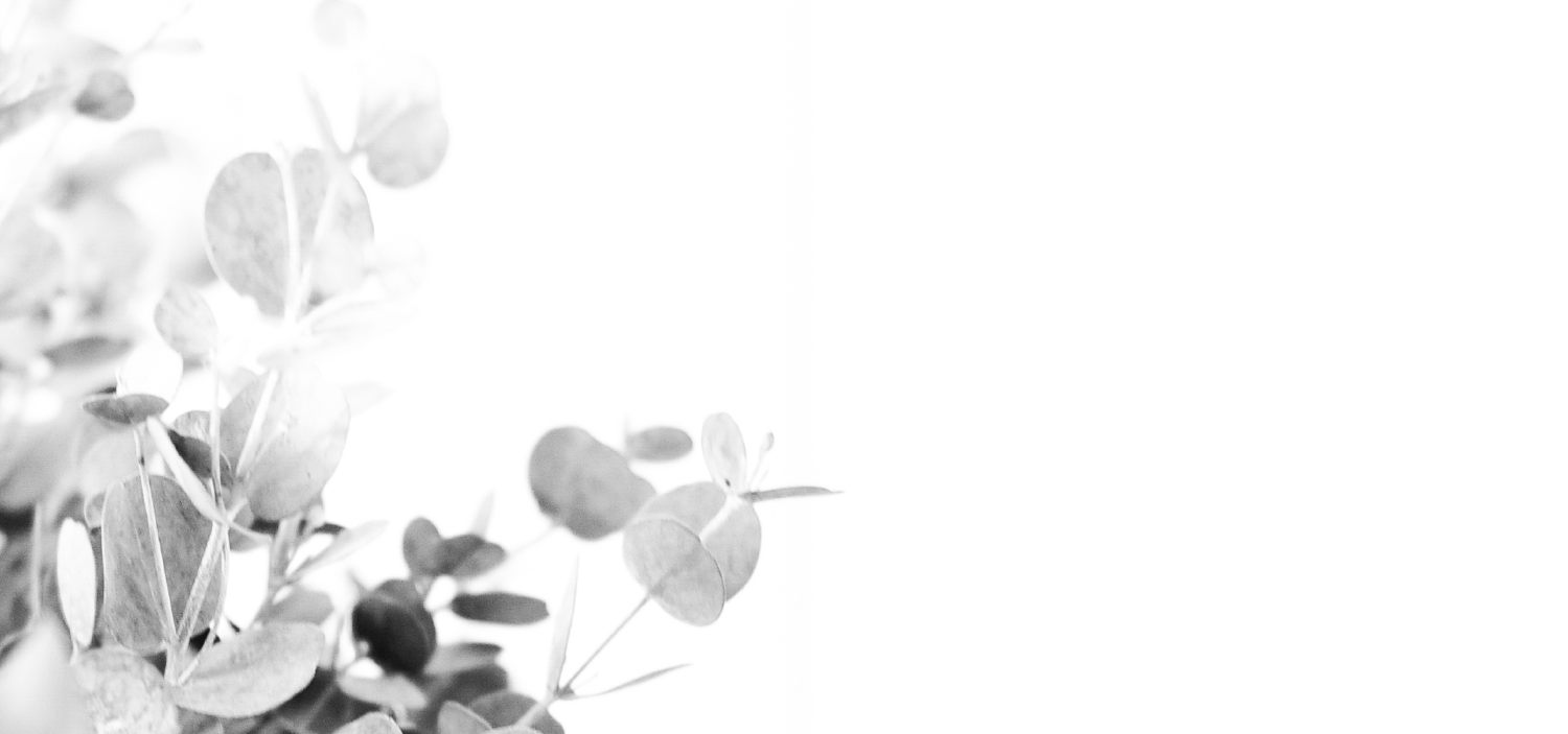 Kathleen-Krueger-Home-Header.png